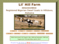 lilhillfarm.com