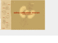 cabcabinmoran.com