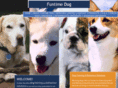 funtimedog.com