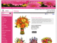raymondsflowershop.net
