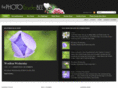 thephotogardenbee.com