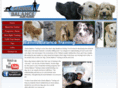 caninebalancetraining.com