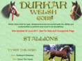 durkarwelshcobs.com