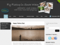 ffisw.com