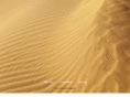 customerexecutiveforum.com