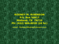 rodneyrobinson.com