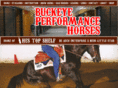 buckeyeperformancehorses.com