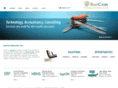 burcomconsulting.com