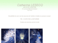 catherinelesecq.com