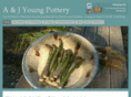 young-pottery.co.uk