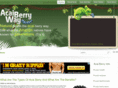 acaiberryway.com