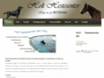 holthestesenter.com