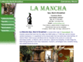 lamanchasur.com