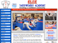 morrissettemartialarts.com