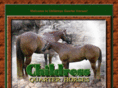 childressquarterhorses.com