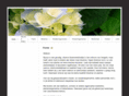 myoso.nl