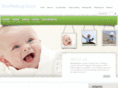shuttlebugboys.com