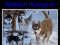 siberianhuskys.org