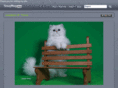 simplefocusphoto.com