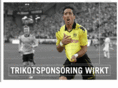 wasbringttrikotsponsoring.de