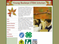 ybstems.org