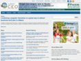 albanyceo.com