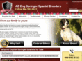 azengspringerspanielbreeders.com