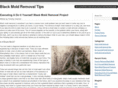 blackmoldremovaltips.net