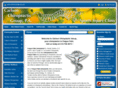 carlsonchirogroup.com
