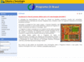 ci-brasil.gov.br