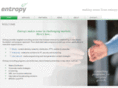 entropybusiness.com