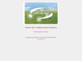 ideairgroup.com