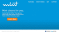 mintdemo.com