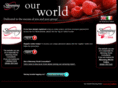 our-world.co.uk