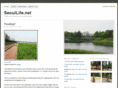 seoullife.net