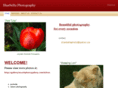 sharbellaphoto.com