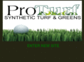 proturfsd.com