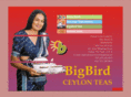 bigbirdtea.com