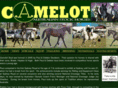 camelotstockhorses.com