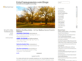 echotransgression.com