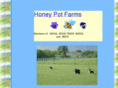 honeypotfarms.net