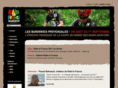raidinfrance.com