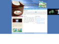silveroilmills.com