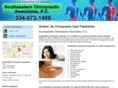 southeasternchiropractic.com