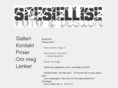 spesiellise.com