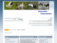 gesundeskatzenleben.com