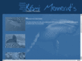 remi-mennerat.com