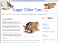 sugarglidercare.org