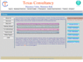 texasconsultancy.net