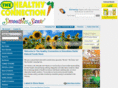 thehealthyconnection.com